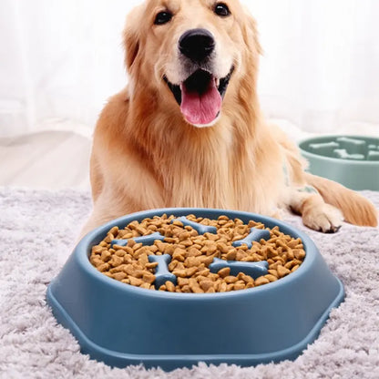 Slow Feeder Dog Bowl – Anti-Bloat Puzzle Bowl for Dogs & Cats