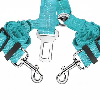 Double Seat Belt detail